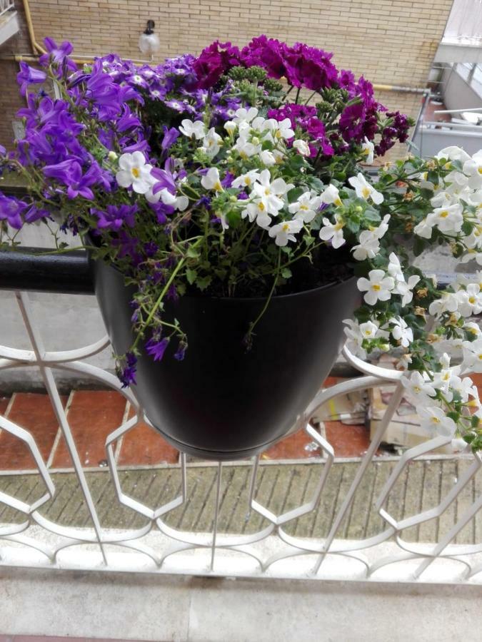Interno 1 Ciampino Roma Luxury Apartment Con Balcone 외부 사진